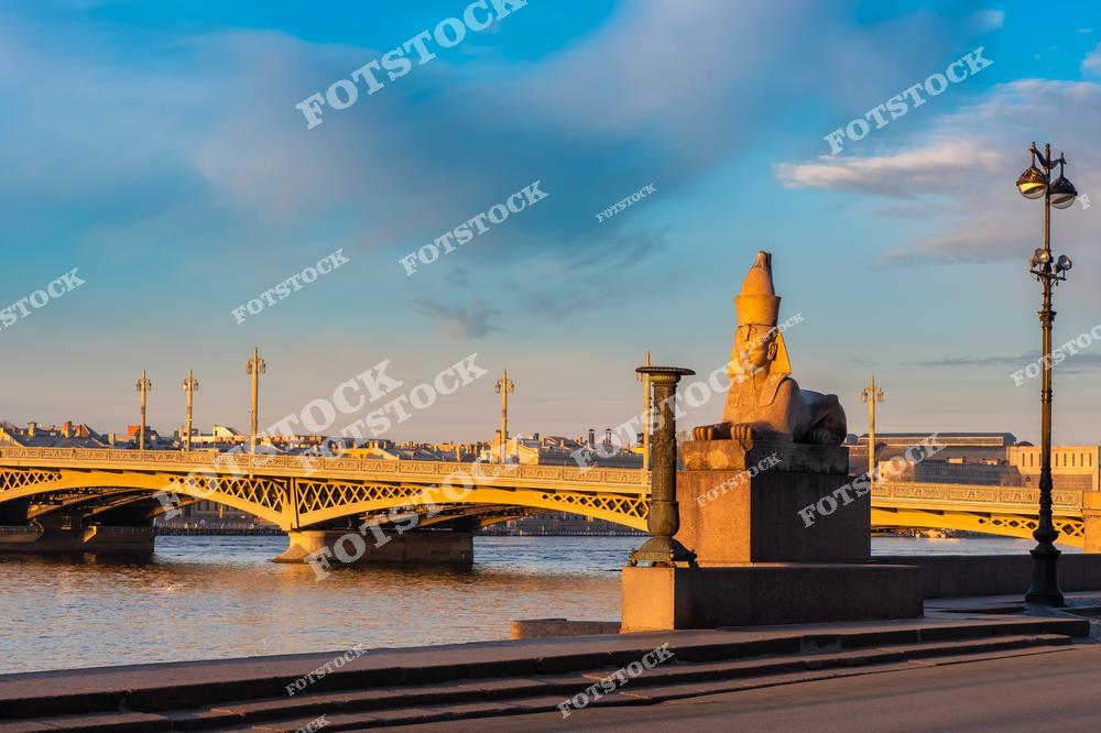 На фотографии изображен один из сфинксов, расположенных на Университетской набережной Санкт-Петербурга. Эти древние египетские статуи, привезенные из Фив в XIX веке, стали частью городской идентичности Петербурга. Невская набережная с видом на мост и сфинксов является популярным местом для прогулок и фотографий.